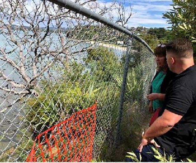 Caution urged around trees at Cockle Bay