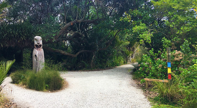 Explore Auckland's Maori identity with AklPaths wen