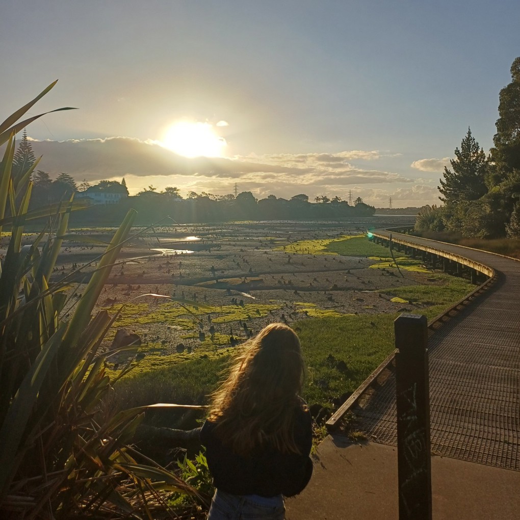Papakura Path Image 4