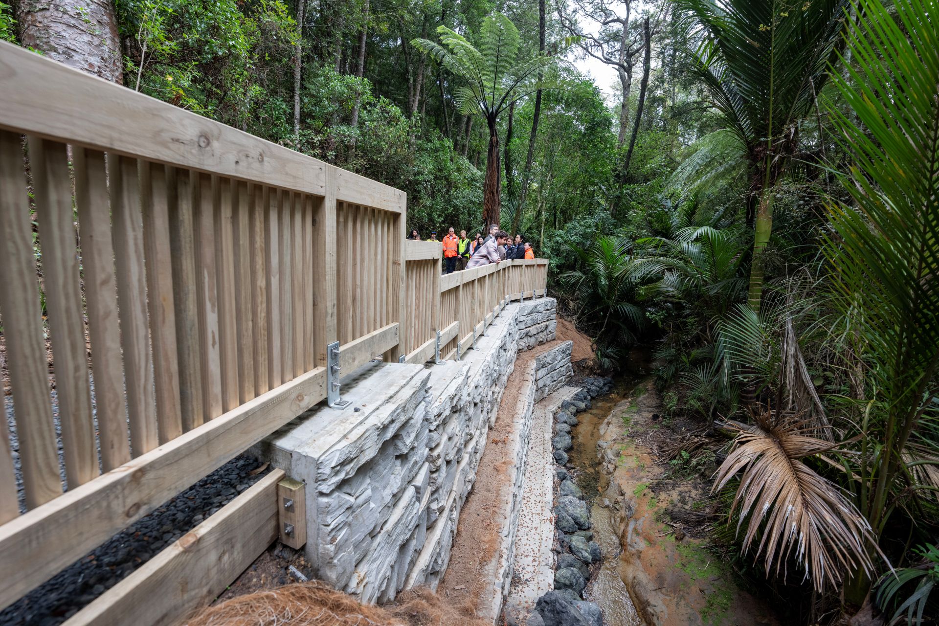 The retaining wall at Leigh Scenic Reserve.