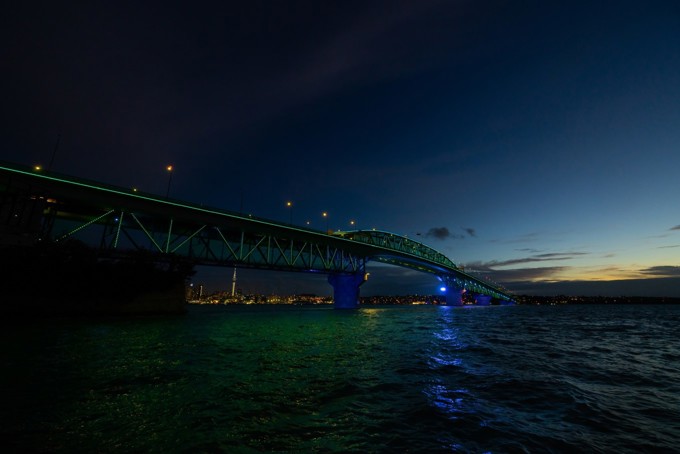 Vector Lights Jan 2024