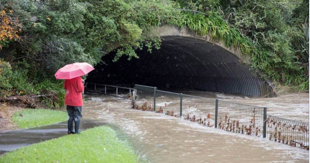 Reducing flooding a key focus for Howick councillor