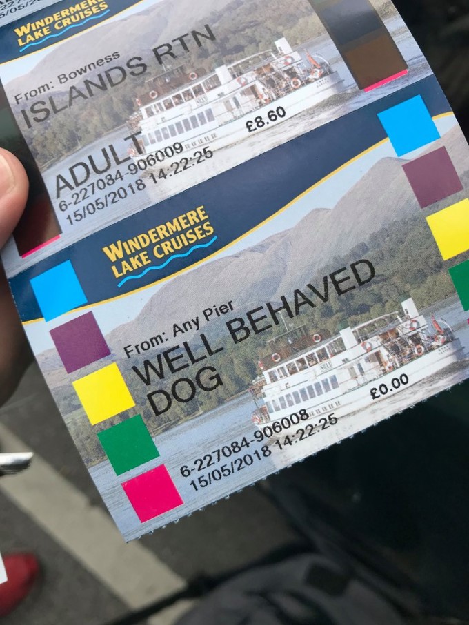 Opinion: Dog friendly public transport in Auckland (2)