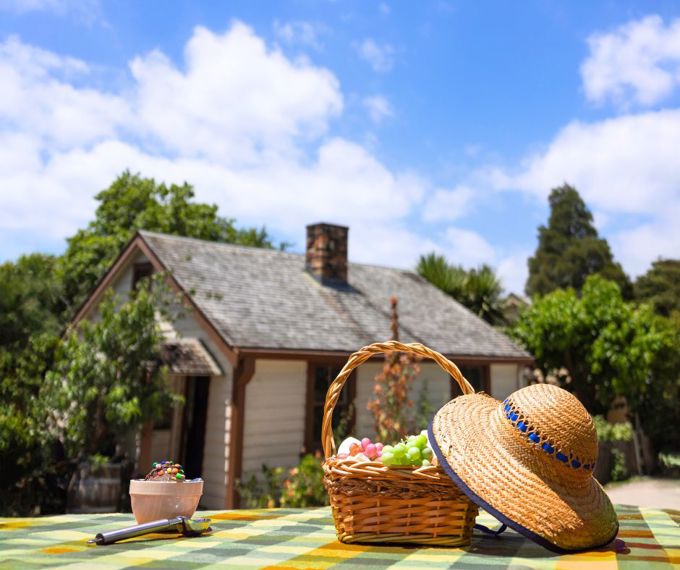 Untitled designxfsdh_aec0vmfq.jpg