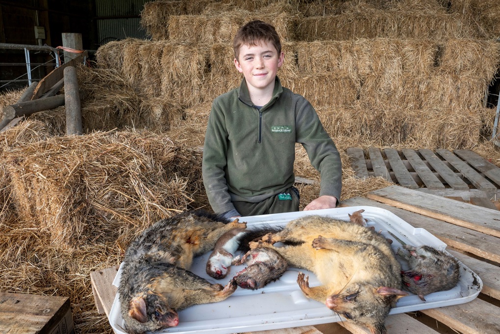 Vanquishing pests from the paddocks