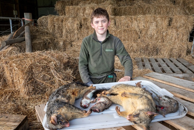 Vanquishing pests from the paddocks