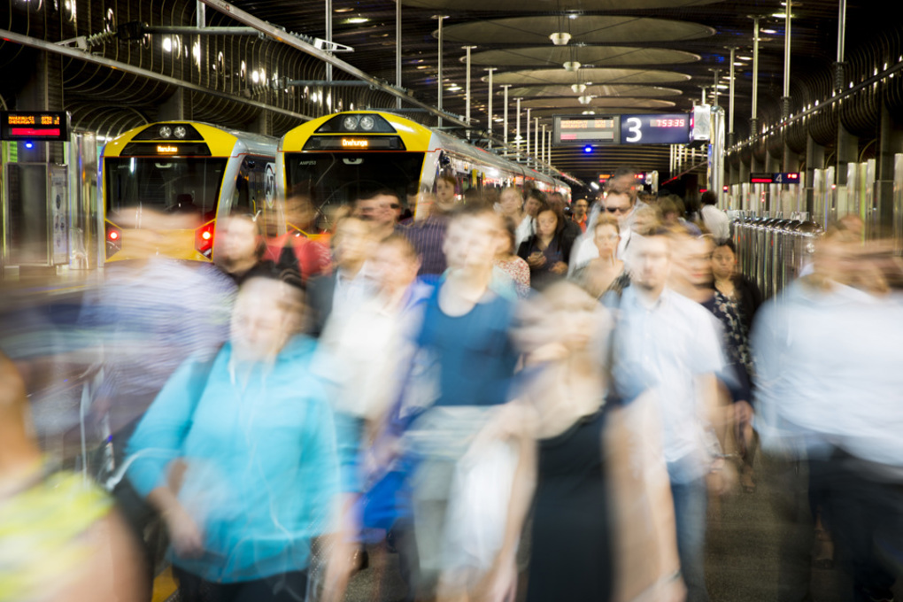 Three new directors appointed to Auckland Transport board