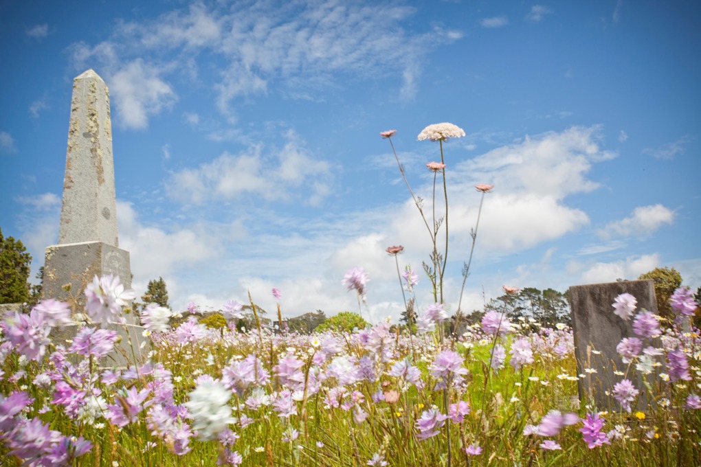 Auckland parks have done it again! (2)