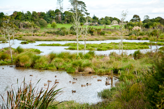 Find a walk, track or trail in Orakei (4)