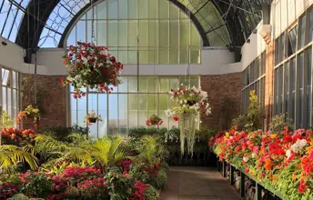 Summer of nostalgia for six majestic icons