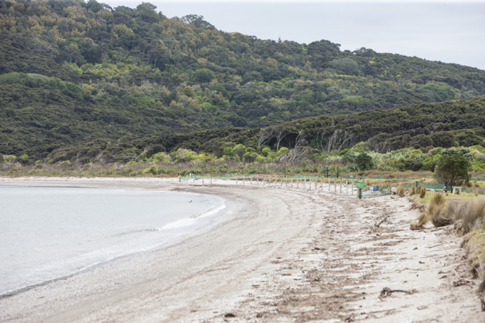 Six Auckland literary sites to explore Oneroa