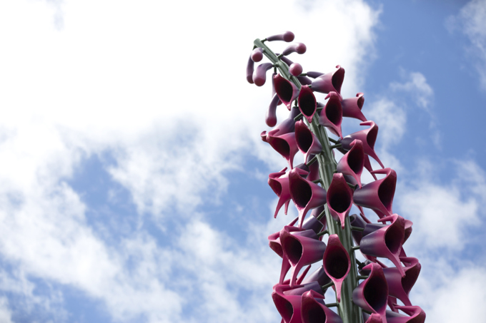 Budget support for sculpture in the gardens3