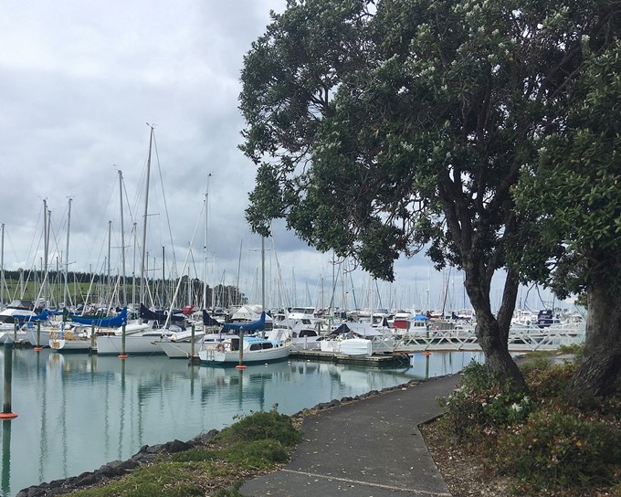 Get together on these north Auckland walks (2)