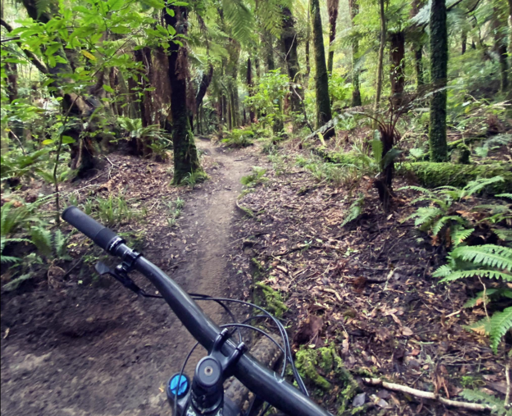 BMX Trail