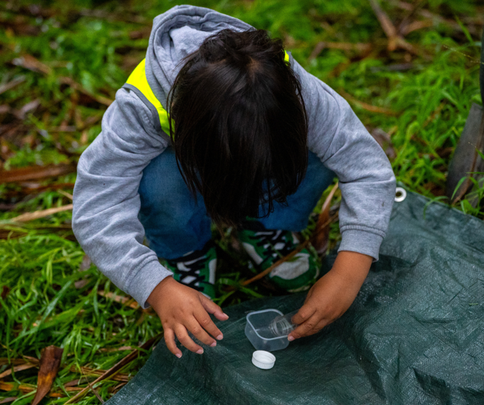 Young child finding bugs