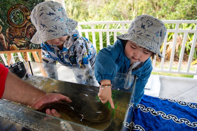 Tickling tuna (eels) at Freshwater Frenzy (1)