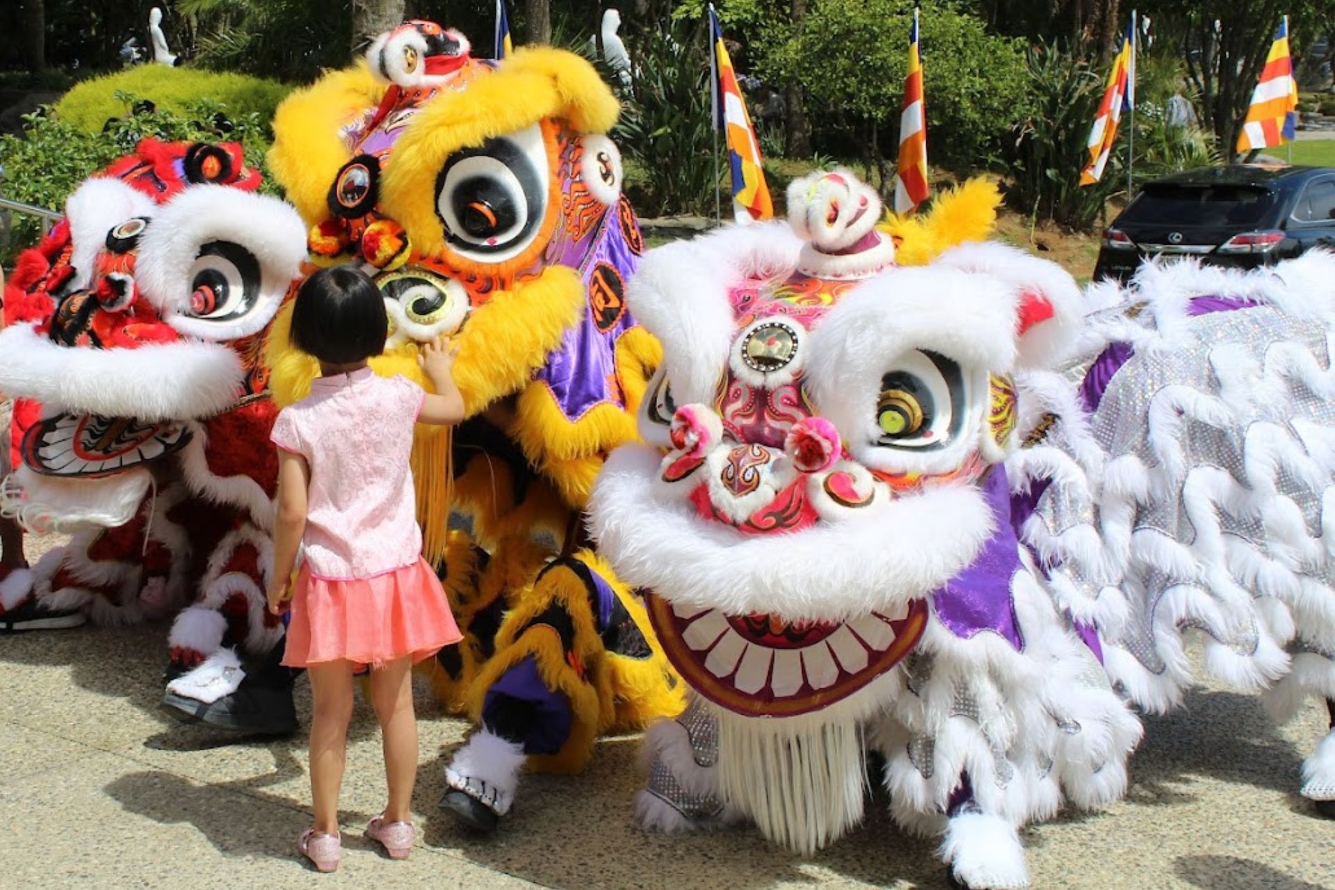 Dragon dances for the Lunar New Year.