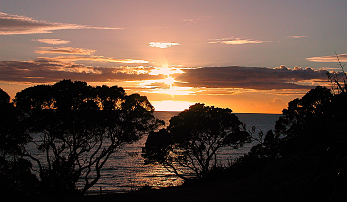 Marama Winder_ikrzmseb.png