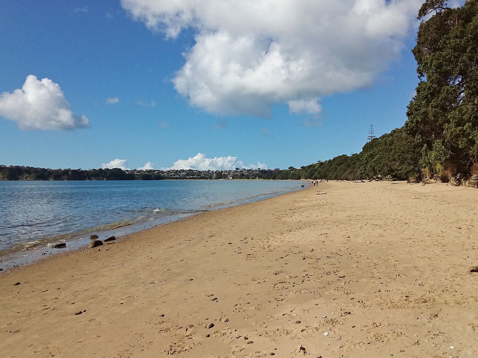 Stanmore Bay Beach Path