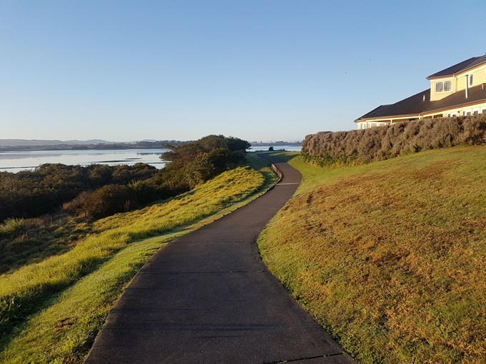 Get together on these south Auckland walks (5)