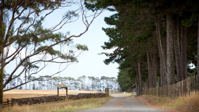 Spotlight on Otara-Papatoetoe 1