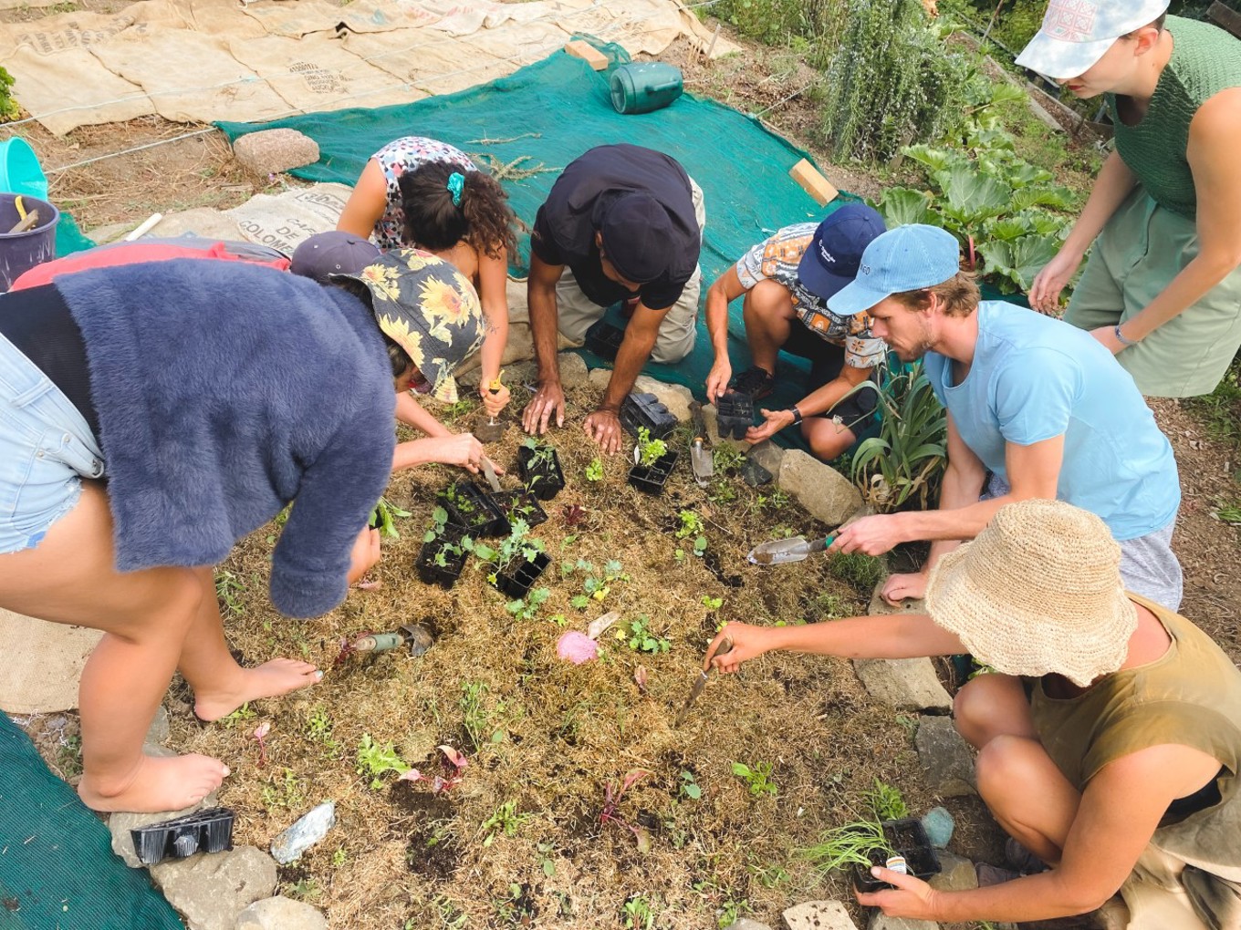 Love food, hate waste? Apply for a grant today OurAuckland