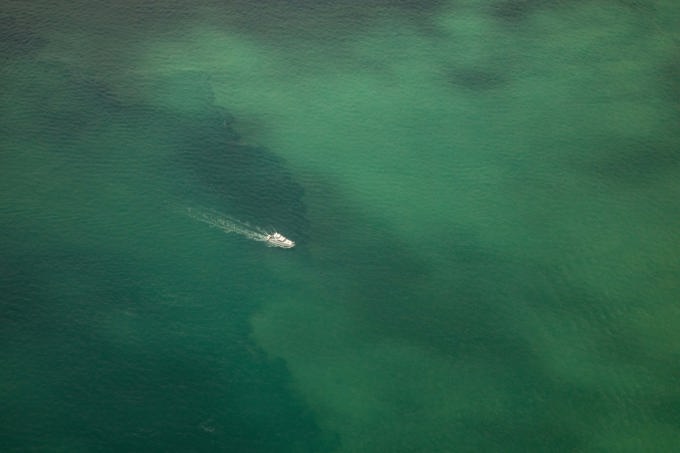 The Hauraki Gulf is hurting and needs our help (3)