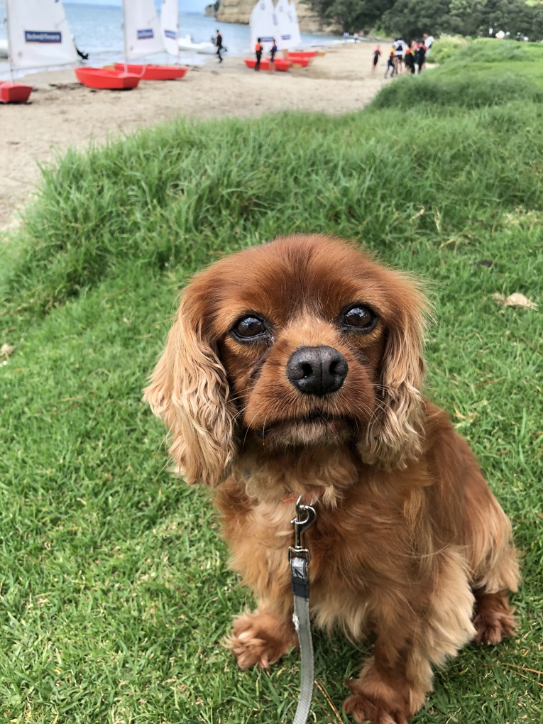 Sam
