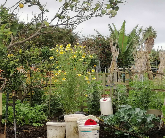 Untitled Design 2026 03 25T151354.423