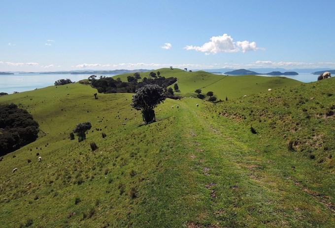 Get together on these east Auckland walks (7)
