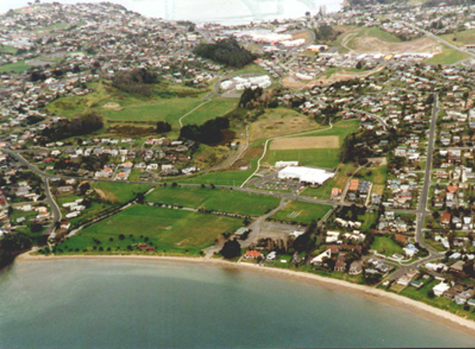 Reports of jellyfish at Hibiscus Coast beaches