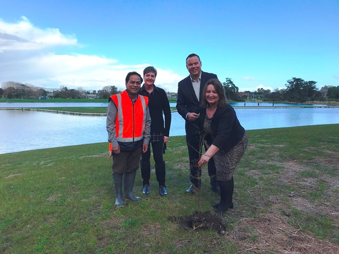 Get planting at Wattle Farm stormwater project1