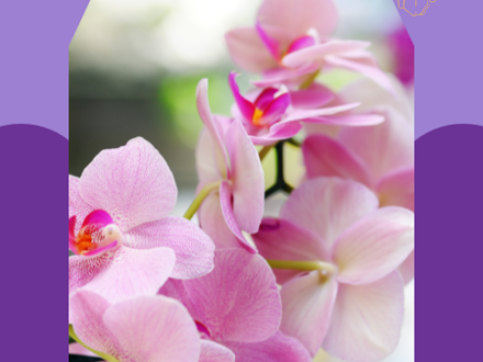 Chinese Silk Orchid Craft