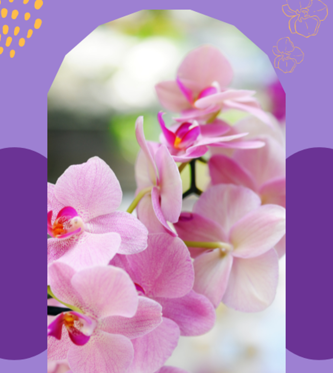 Chinese Silk Orchid Craft