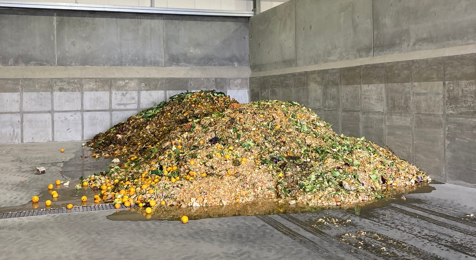 Food scraps are sent to Ecogas’ processing facility in Reporoa where they are converted into liquid fertiliser and biogas.