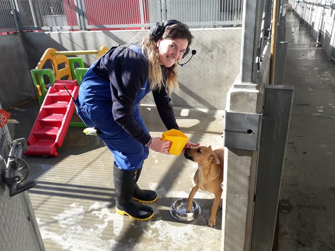 Behind the scenes: no shortage of love at Auckland's animal shelters (5)