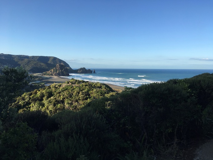 Injection of funding to fast-track kauri dieback work programme