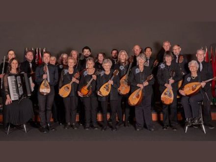 131 Mandolinata Orchestra