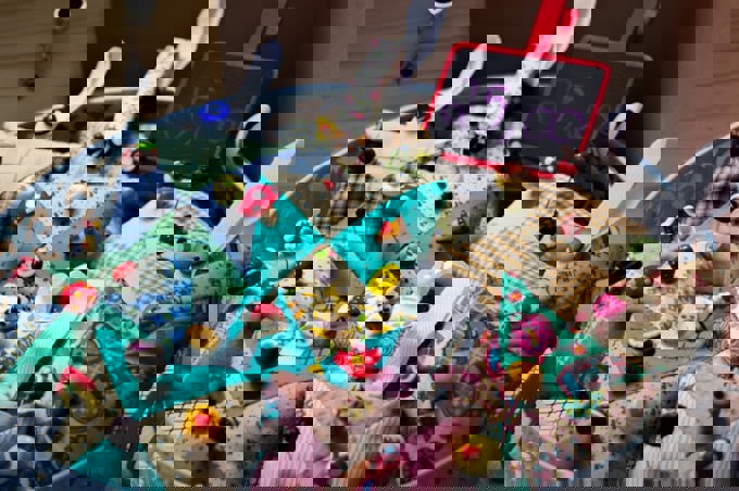 raissa-de-paula-ZUgVjh7PFhk-unsplash (1)_i2c4wwrv.jpg