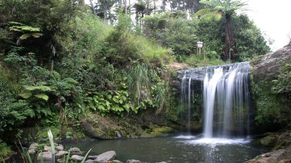 Find a walk, track or trail in Orakei (1)
