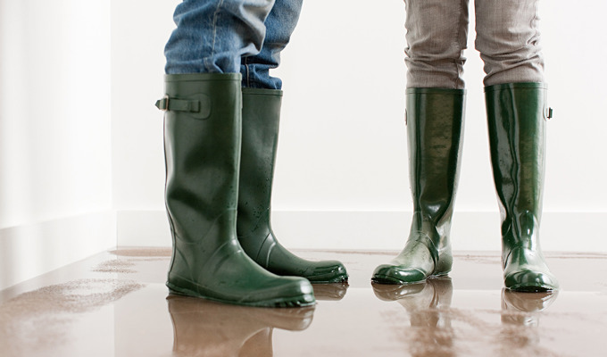 Gumboot Image