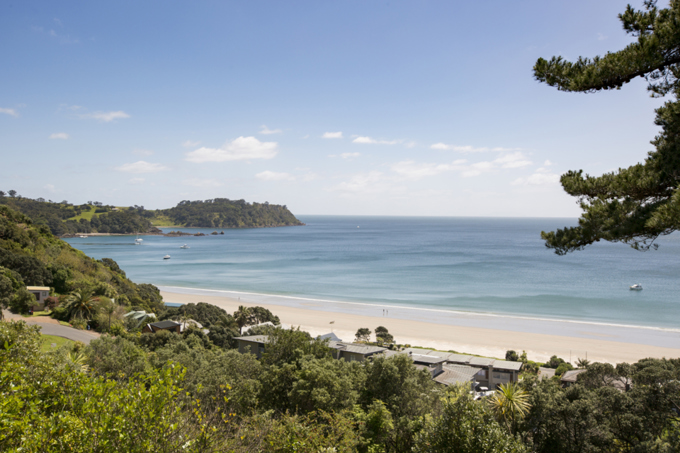 Help us work towards a predator-free Waiheke.jpg