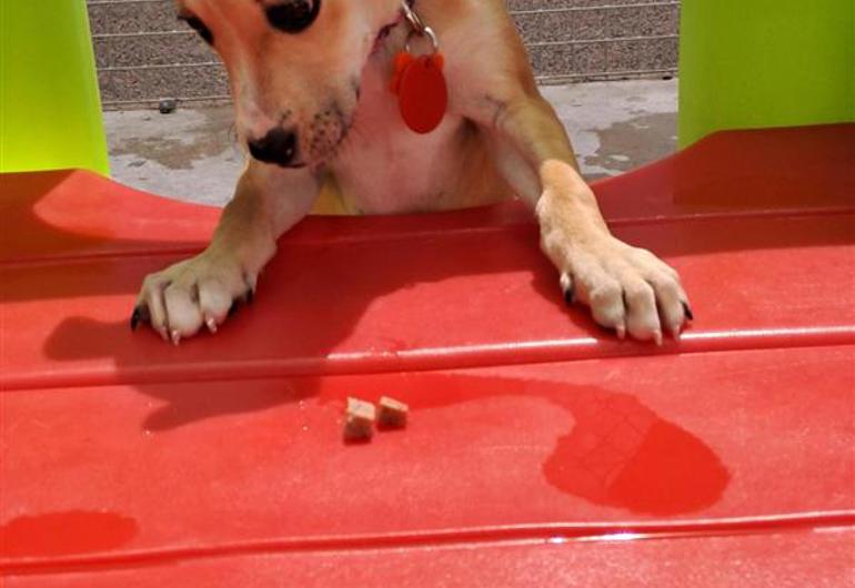 7F474dc6 6A73 4B62 899F 4C8eae6f3317