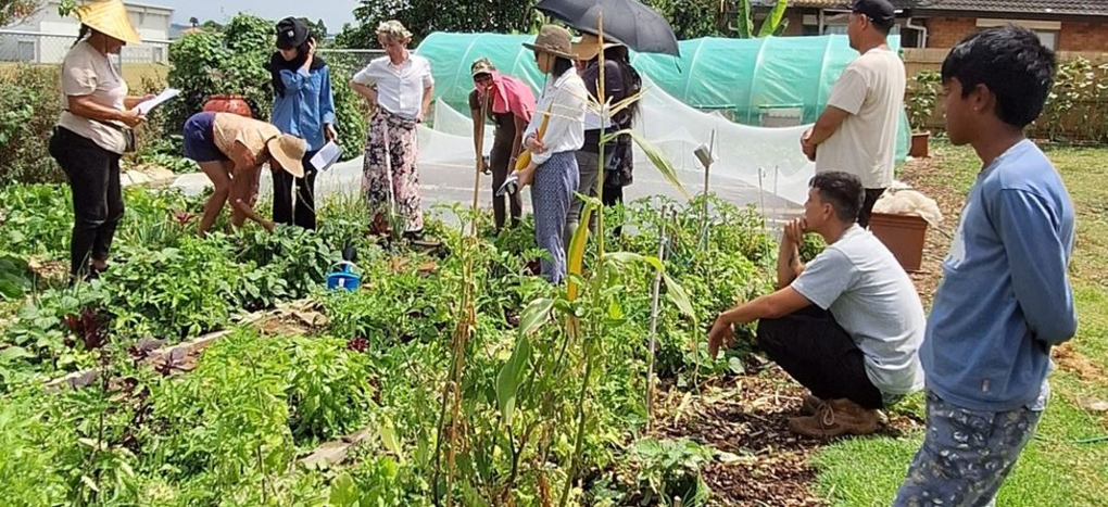 Community garden