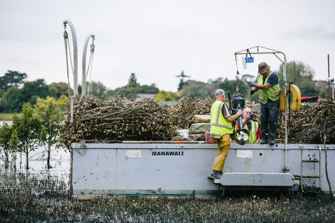 Mangrove mission a magnificent obsession2