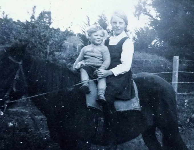 Upper Harbour's 'Travelling Apple Cart' collects local stories