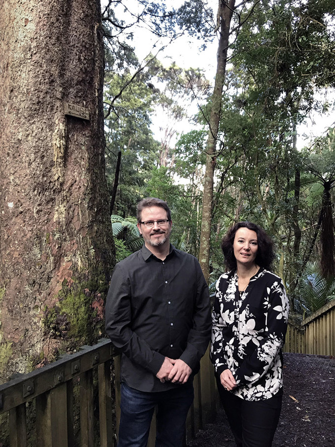 Protecting kauri in Kaipatiki