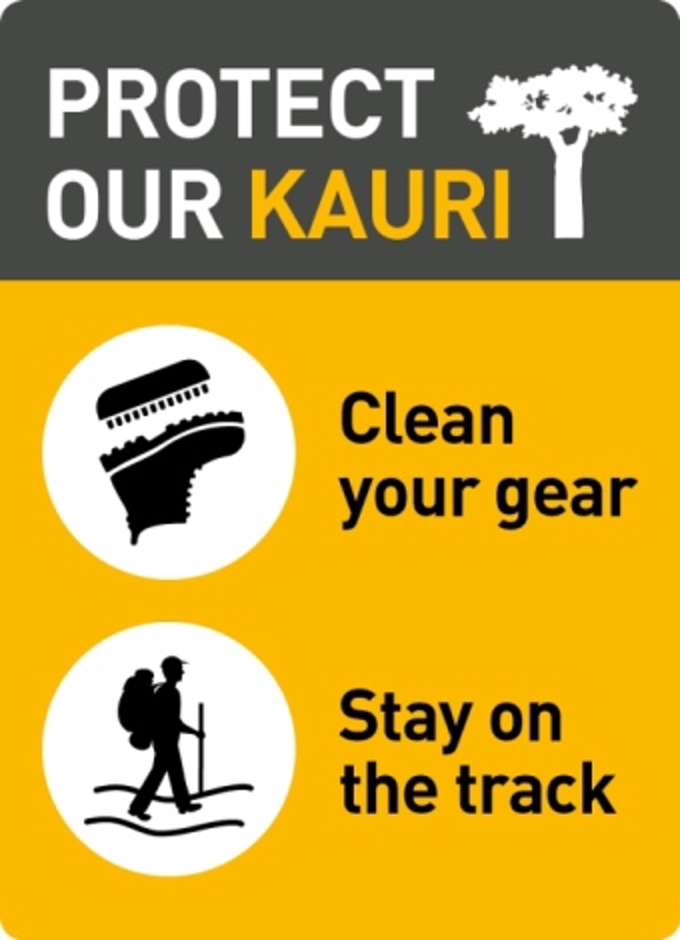 Kauri dieback sticker