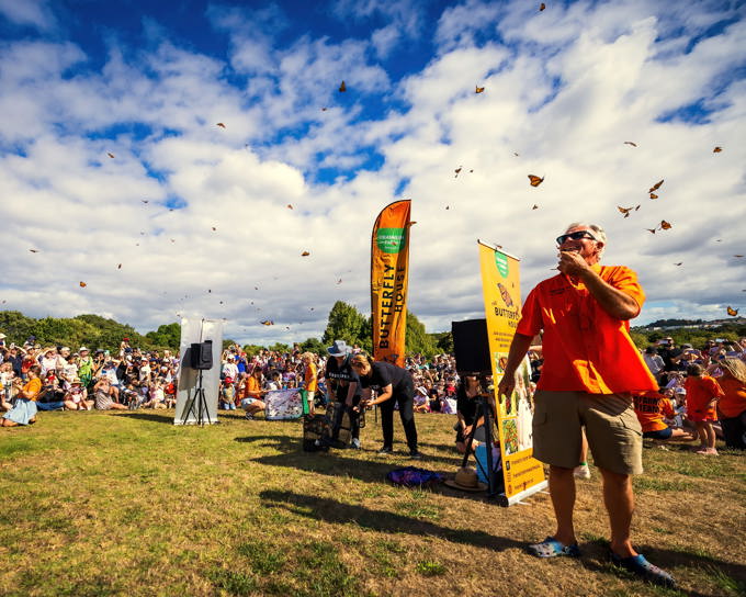 Butterfly release 3_d15bdg3r.jpg