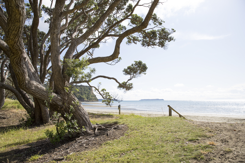 Maungatauhoro / Wenderholm Regional Park